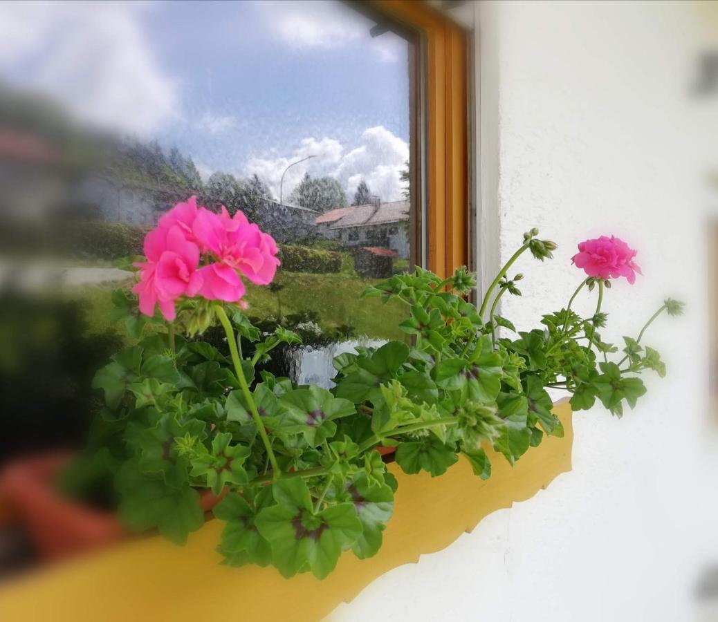 Edelstein Ferienwohnung Philippsreut Dış mekan fotoğraf