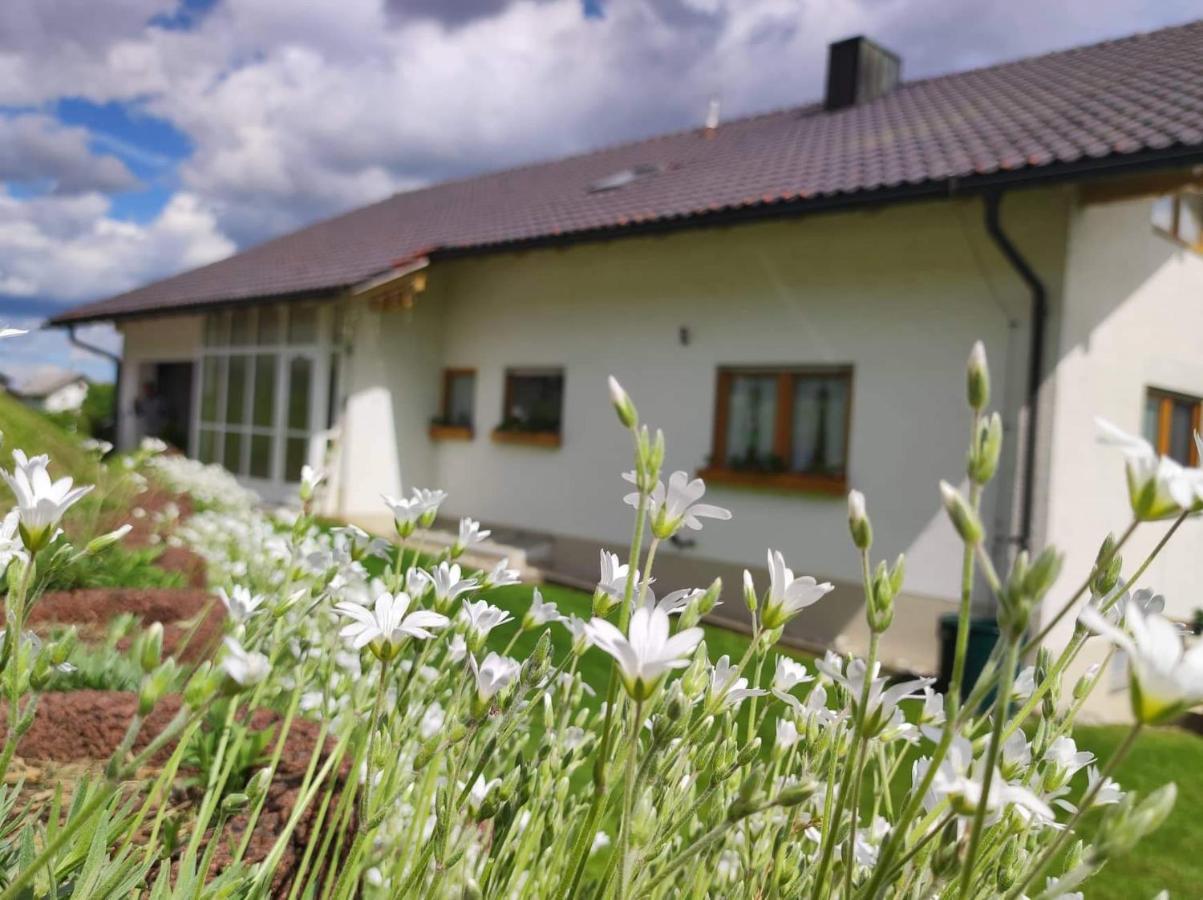 Edelstein Ferienwohnung Philippsreut Dış mekan fotoğraf
